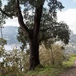 Casa Da Torre, Porto Manso *