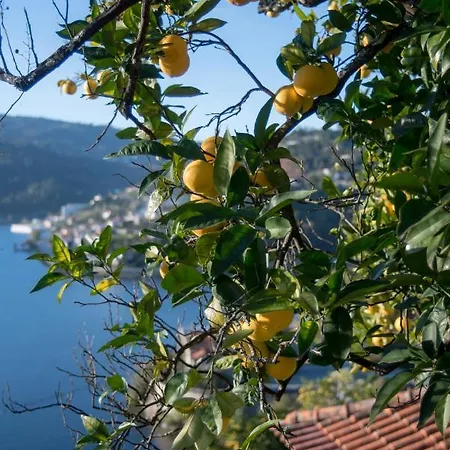 Casa Da Torre, Porto Manso *