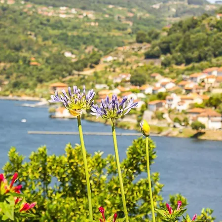 Casa Da Torre, Porto Manso