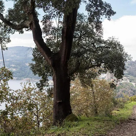 Casa Da Torre, Porto Manso *