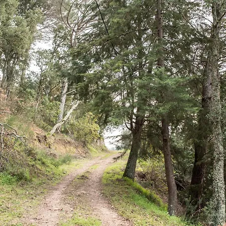 Casa Da Torre, Porto Manso *