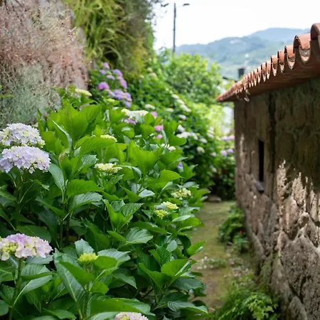 Casa Da Torre, Porto Manso