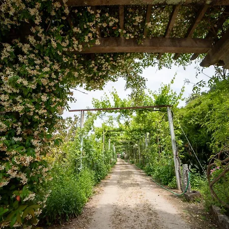 Casa Da Torre, Porto Manso بيت للعطل ريبا دورو