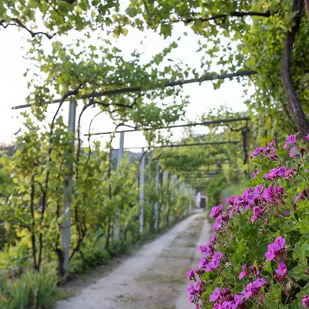 بيت للعطل Casa Da Torre, Porto Manso *