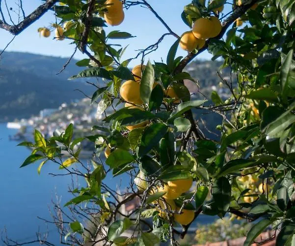 Casa Da Torre, Porto Manso *