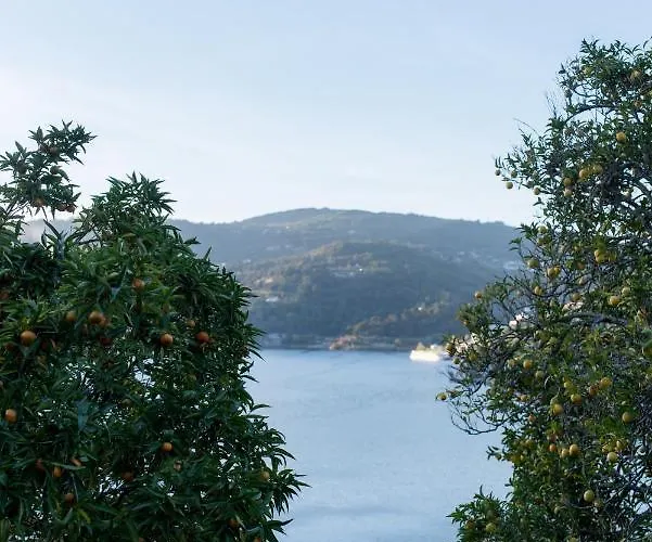 Feriehus Casa Da Torre, Porto Manso