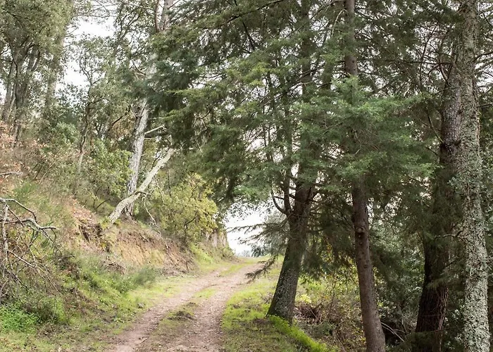 Casa Da Torre, Porto Manso *