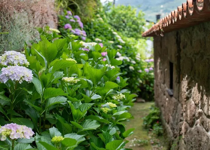 Casa Da Torre, Porto Manso