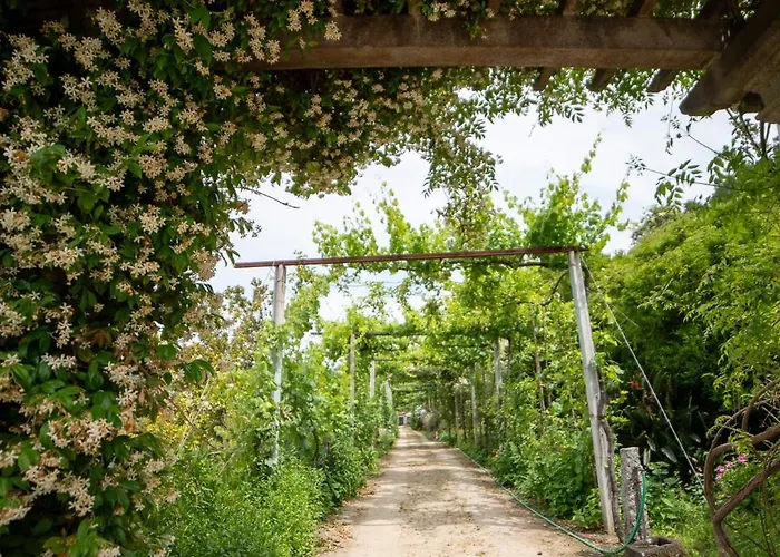 Casa Da Torre, Porto Manso Holiday home Ribadouro