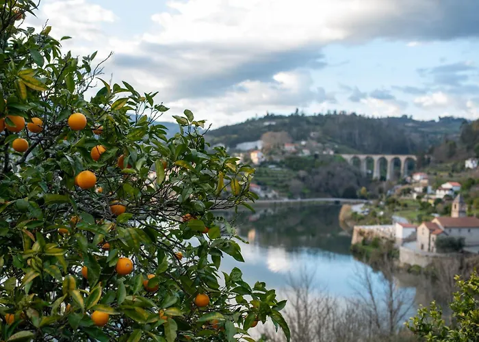 Casa Da Torre, Porto Manso