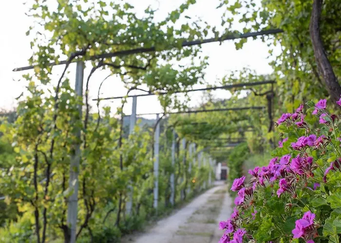 Feriehus Casa Da Torre, Porto Manso *
